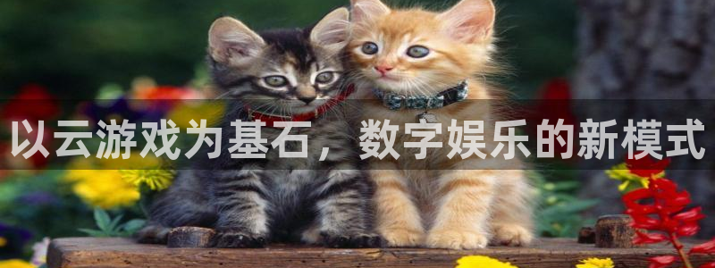 沐鸣网页版地址