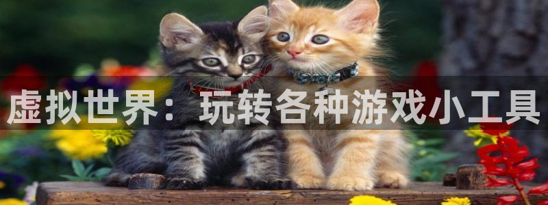 沐鸣网址注册：虚拟世界：玩转各种游戏小工具