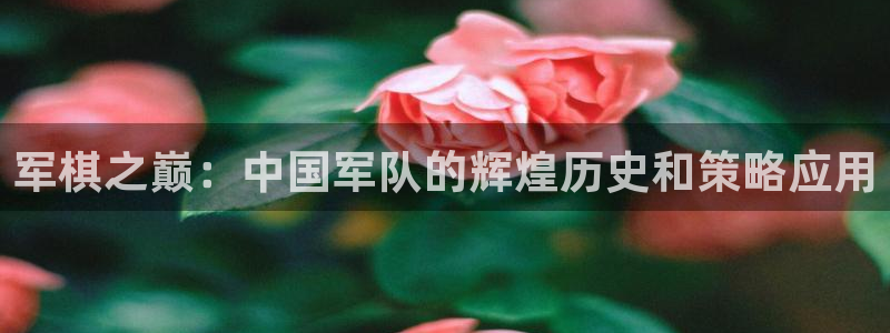 沐鸣在线登录：军棋之巅：中国军队的辉煌历史和策略应用