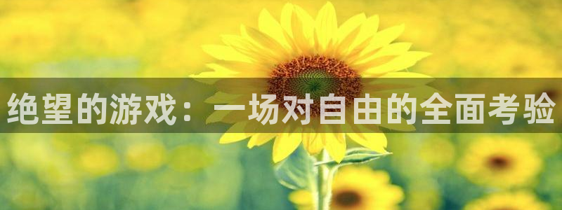 手机版沐鸣客户端下载