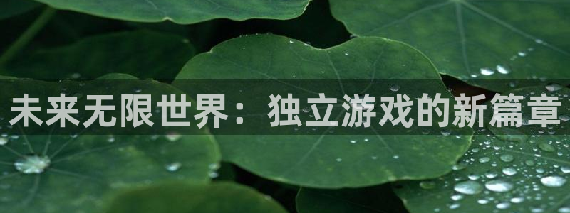 沐鸣官网：未来无限世界：独立游戏的新篇章