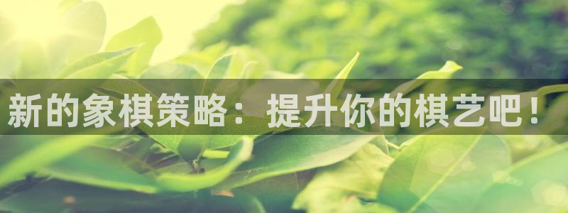 沐鸣1在线登录：新的象棋策略：提升你的棋艺吧！