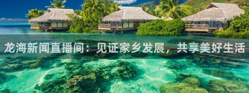 咪咕视频新版：龙海新闻直播间：见证家乡发展，共享美好生活