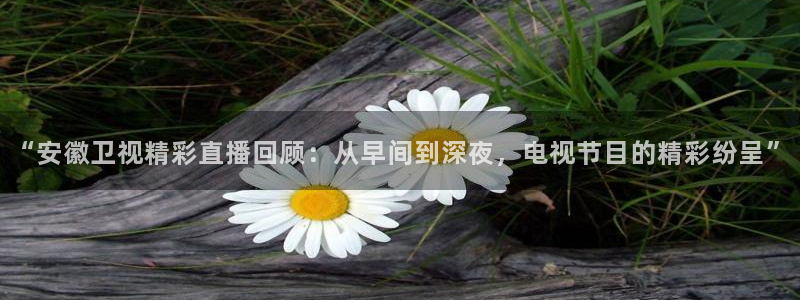 咪咕体育直播在线：“安徽卫视精彩直播回顾：从早间到深夜，电视节目的精彩纷呈”