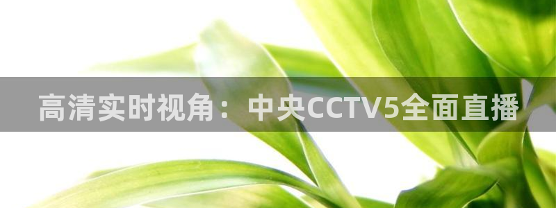 免费看咪咕体育直播：高清实时视角：中央CCTV5全面直播
