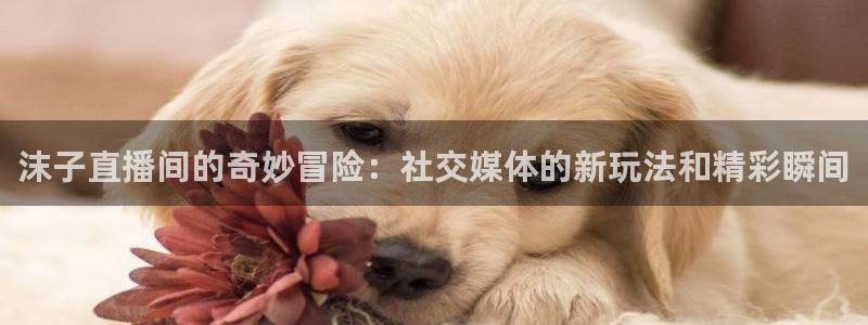 免费看咪咕体育直播：沫子直播间的奇妙冒险：社交媒体的新玩法和精彩瞬间