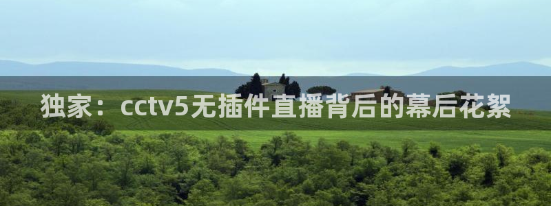 下载咪咕体育视频：独家：cctv5无插件直播背后的幕后花絮